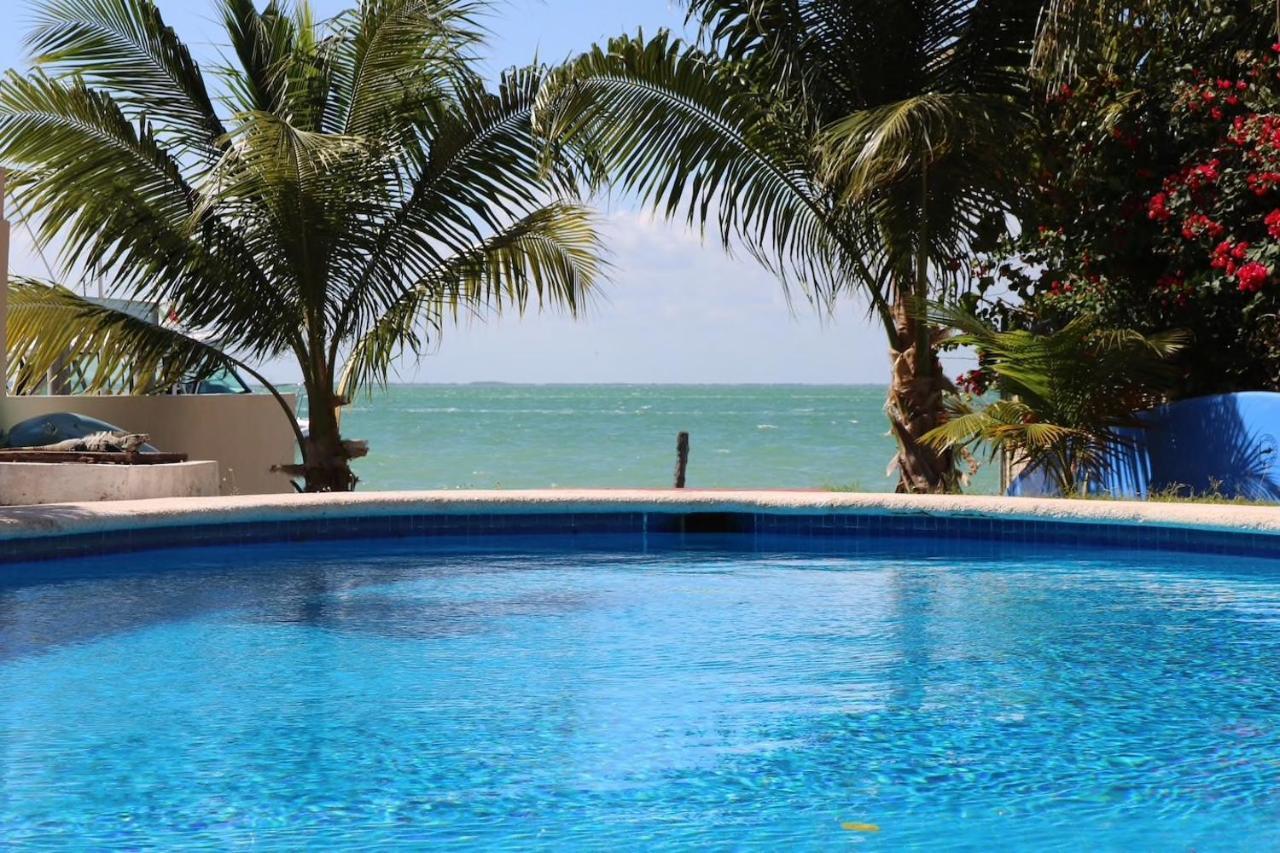 Seaak Cancun Rentals エクステリア 写真