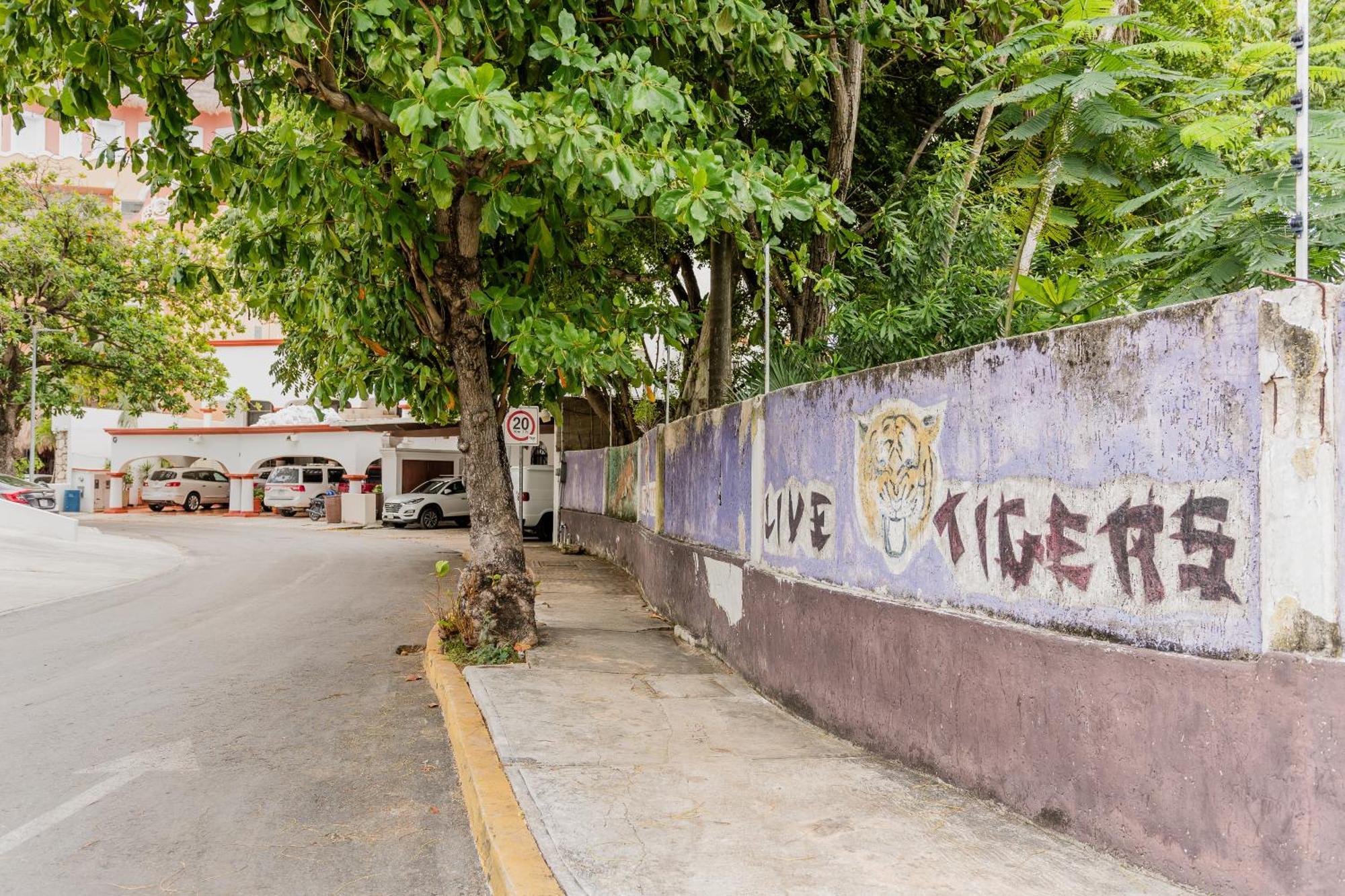 Seaak Cancun Rentals エクステリア 写真